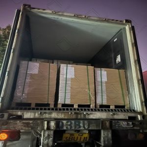 Color Paper/Color Board 120gsm Blue Red Yellow Green Bristol for Offset Printing