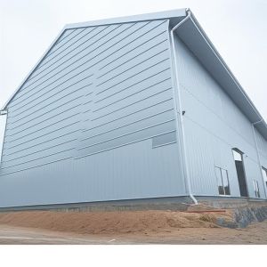 Custom Industrial Steel Structure Fabrication For Hall Workshop Applications