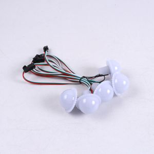 China 12V LED Amusement Light With Pre-Programmable RGB Lighting on sale