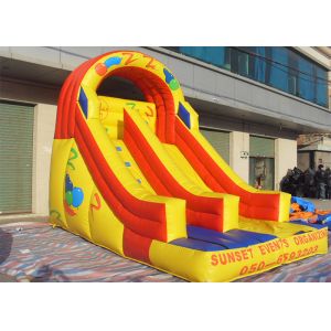 Small Commercial Inflatable Slides Environmental PVC for Child