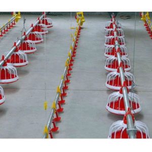 Automatic Stainless And Polypropylene 360mm Broilers Feeding System