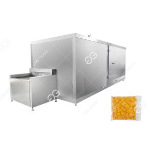 Factory Price Frozen Mango Production Line Fruit And Vegetable Processing
