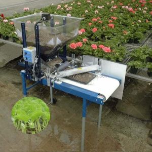 11 Row Microgreen Tray Seeding Machine with Conveyor Belt and Top Coater in