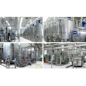 316L Material Dairy Processing Machine Semi Automatic Milk Processing Machine