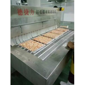 Industrial Freezer Quick Freezing Tunnel Fish Freezer Liquid Nitrogen Tunnel