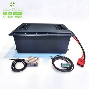 CTS new design 48v 72v 50ah 60ah lifepo4 lithium battery pack for electric golf