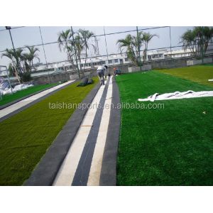 PP+LENO Backing Landscape Artificial Turf With Easy Paving And Installation 25mm