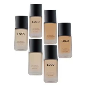OEM/ODM Private Label Waterproof Full Coverage Foundation Makeup for All Skin