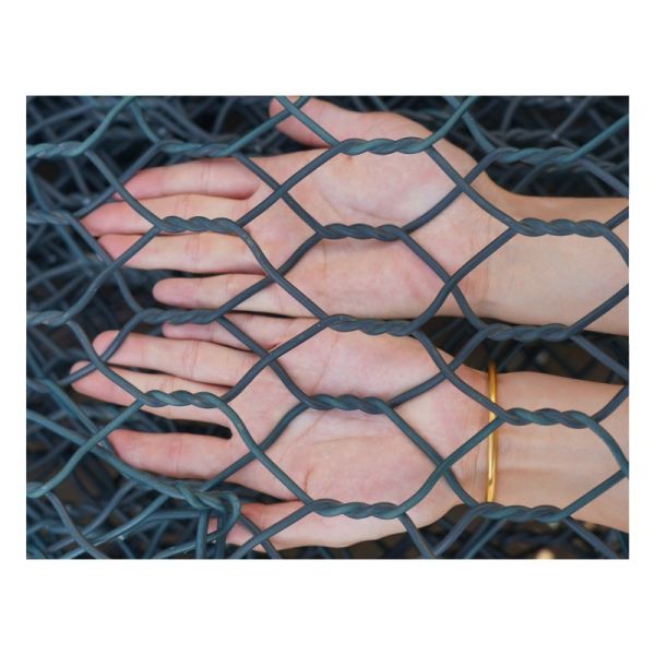 PVC Coated Hexagonal Wire Mesh Gabion Box for Garden Decoration and Retaining