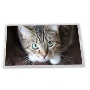 PD035VX2 640*480 Resolution 3.5-Inch WLED TFT LCD Display Module ODM Suppliers