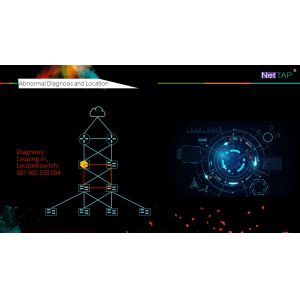 NetTAP® Network Abnormal Monitoring and Fault Location of Abnormal Diagnosis and Location