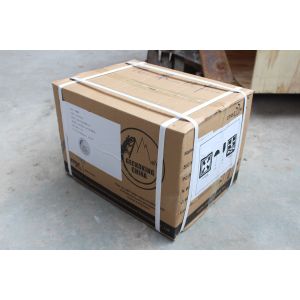 Experience the Thrill with Gecko King Playground Wall Climbing Holds