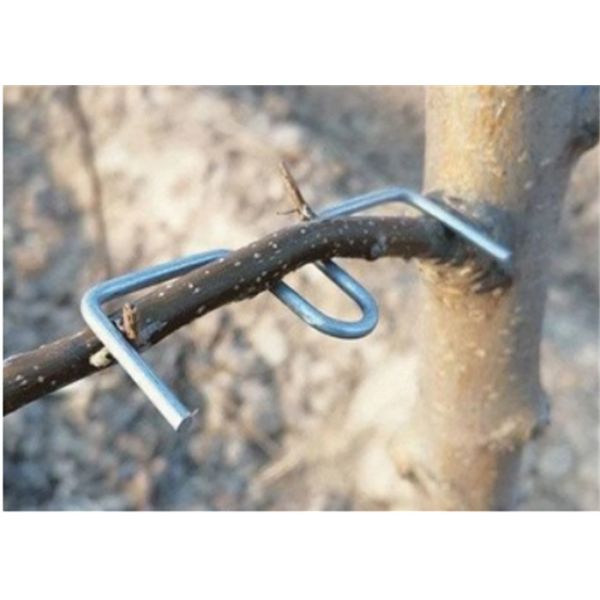 Quality 13CM Length Galvanized Tree Branch Pressing Tool Furit Trees Use for sale