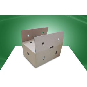 4C Printed Corrugated Carton Boxes Fruit Paper Carton with Air Hole