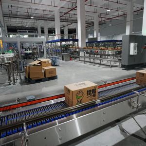 China Fully Automatic Robotic Single Column Palletizer for Boxes Unloading on sale
