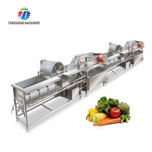 7kw Double Vortex Vegetable And Fruit Cleaning Machine