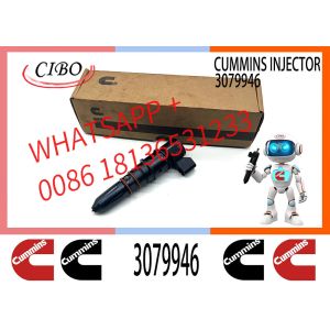 Wholesale NTA855 diesel engine injector 3068825 3071492 3071494 3071497 3079946 3079947 4913770 4914328 4914453 4914458 3084891 from china suppliers