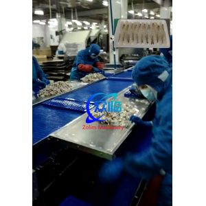 Automatic Tempura Shrimp Stretching Machine, NOBASHI Machine, Shrimp Stretcher