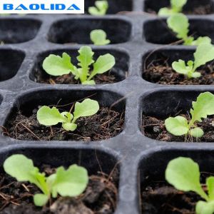 Movable Greenhouse Rolling Benches Breeding Nursery Seedling Size Customized