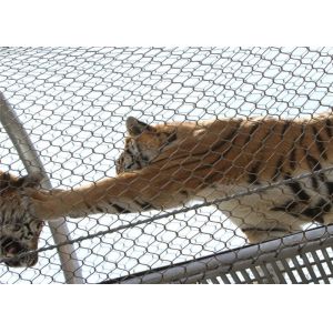 7x7 Tiger Metal Stainless Steel Zoo Mesh Enclosure Netting X Tend Shaped