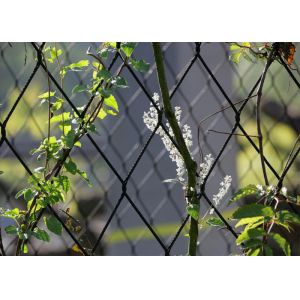 7*19 Grape Wire Rope Trellis Plant Climbing Green Wire Rope Mesh Netting