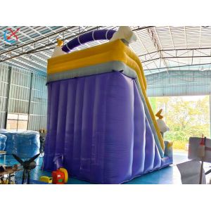 Supplier Commercial Cloud Lightning Inflatable Slide Inflatable Dry Slides
