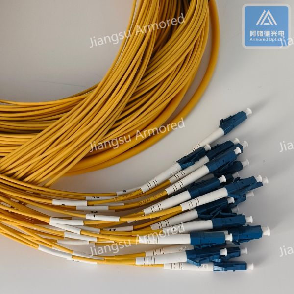24 Cores Stainless Steel Armored Patch Cord SC-LC-10m Yellow LSZH 5.0mm FTTH Datacenter