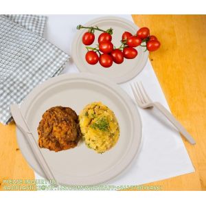 Compostable Paper Plates Set With Extra Long Utensils, Sugarcane Fibers