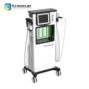 Small Bubble H2o2 Argon Oxygen Jet Peel Aqua Hydro Facial Beauty Machine