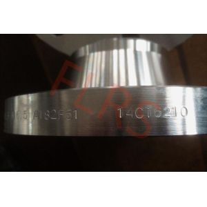 Raised Face Welding Neck Flange Super Duplex Stainless Steel A182 F51 / UNS