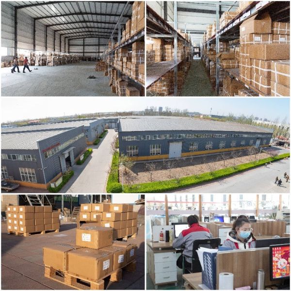 Hydraulic Banjo Fittings Bsp Banjo Bolt 720b with Reliable Quality