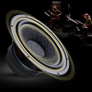 Customized 8 Inch Bookshelf Passive Speakers 3 Way Multifunctional