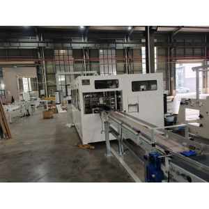 Fully Automatic Toilet Tissue Paper 10 Rolls Bundle Packing Machine