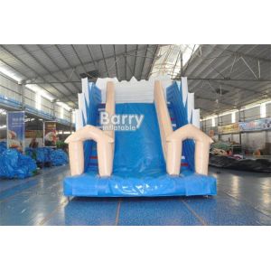 White And Blue Inflatable Water Slides / PVC Tarpaulin OEM Childrens Outdoor