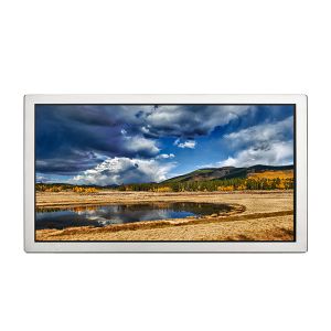 G238HAN01.5 23.8 inch LCD Panel Medical LCD Screen Display