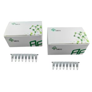 Wholesale Basic RNA Amplification Kit Stable Easy Operate 14 Months Validity from china suppliers