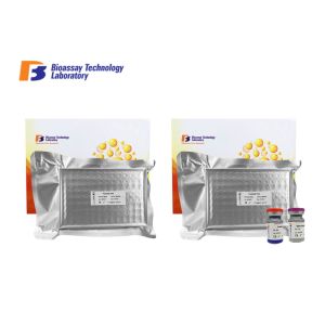 Wholesale 96 Well Plate Human ELISA Kit 5 - Nucleotidase ELISA Assay Kit For Research from china suppliers