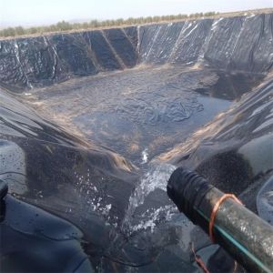 Industrial Fish Shrimp Farm Pond Geomembrane Liner 0.5mm/0.75mm for Design