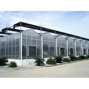Flower Multi Span Greenhouse / Venlo Style Greenhouse Cover Material Polycarbona