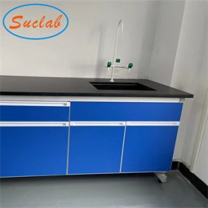 Practical Wall Bench Laboratory Acid Resistant Multipurpose Antirust