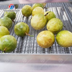 Silvery Personalization Passion Fruit And Vegetable Processing Line Fruit