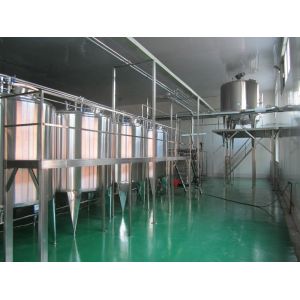 Customised Voltage Full Automatic 5000b/h Rice Milk Processing Line with Bottle