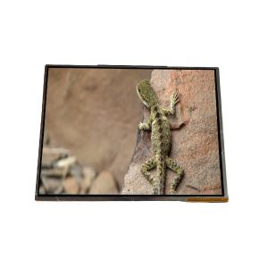 Wholesale AA142XC02 14.2 inch 1024*768 TFT-LCD Screen Display For Laptop from china suppliers
