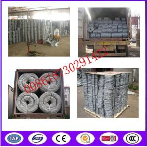 Anti Climb Galvanized Double Barbed Wire