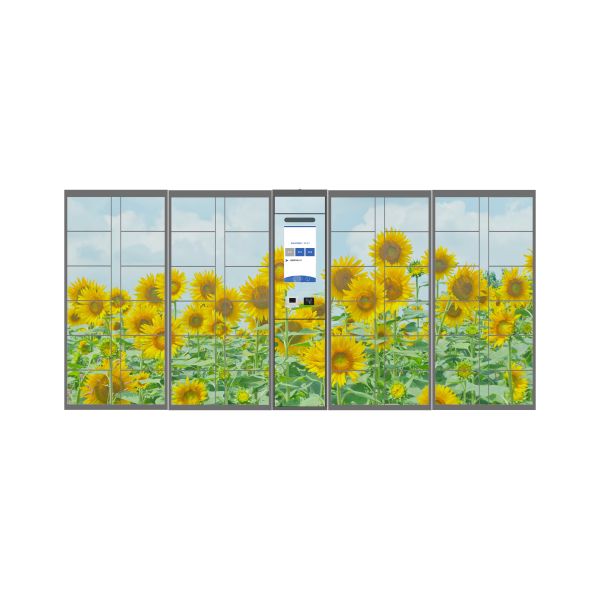 Quality Intelligent Electronic Locker For Out Door Parcel Delivery With Phone App Integration Online Shopping for sale