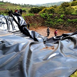 1.0mm HDPE Geomembrane for Fish Pond Width 1-6m Chemical Resistant Black