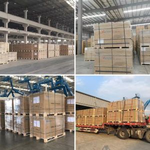 700W Tsm-Neg21C.20 Bificial Dual Glass Pv Module Solar Panels for Solar Power