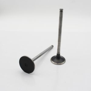 65.04101-0041 65.04101-0042 Diesel Engine Valve D1146 Intake Exhaust Valve For