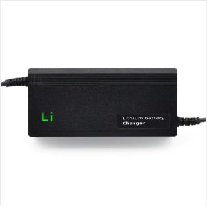 Wholesale Fully Charged and Powered Off 48V 5A Electric Bicycle Lithium Battery Charger with CE FCC ROHS Certification Wide Voltage from china suppliers