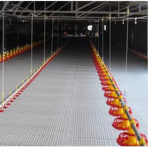 Drinking System Fully Automatic Poultry Drinker , Broiler Chicken Drinker